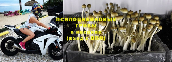 круглые Абаза