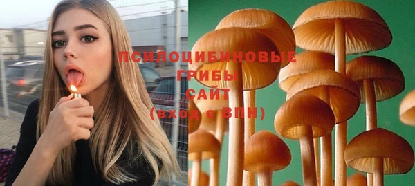 гашик Абдулино