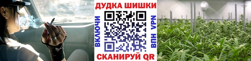 гидра ссылка  Электроугли  Бошки марихуана индика 